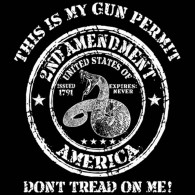 This Is My Gun Permit